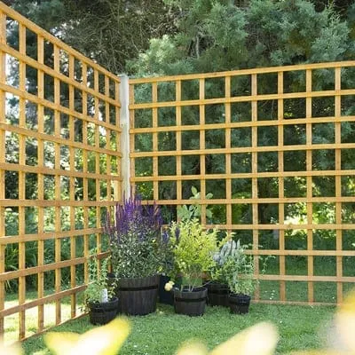 Forest Heavy Duty Trellis 183cm x 183cm