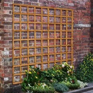 Forest Heavy Duty Trellis 183cm x 183cm