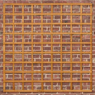 Forest Heavy Duty Trellis 183cm x 183cm