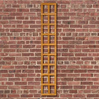 Forest Heavy Duty Trellis 183cm x 30cm (Pack of 10)