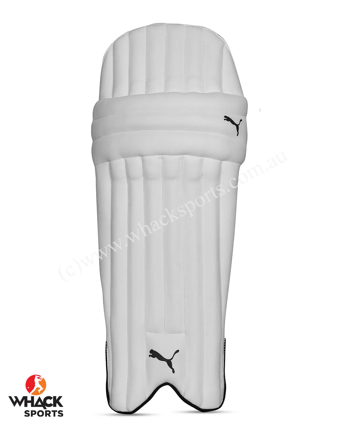 Puma Future 5 Cricket Batting Pads - Small Junior