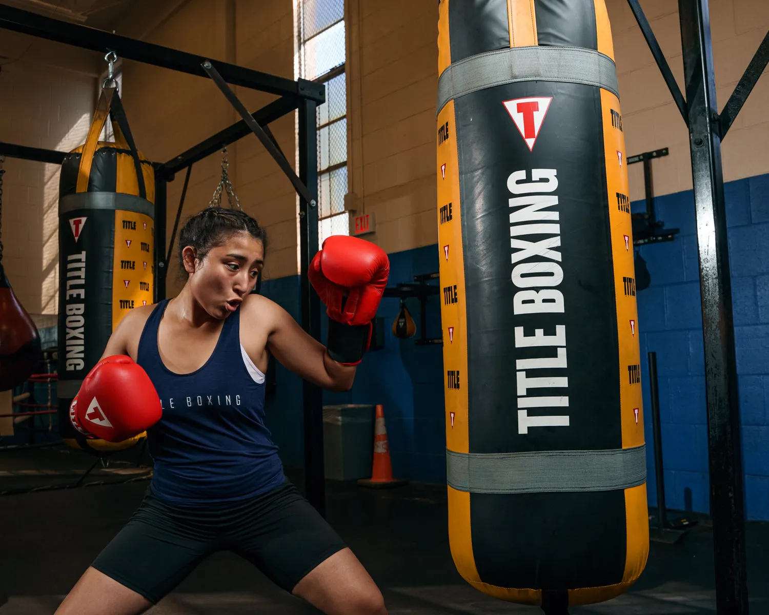 TITLE Boxing Wall Mount Menace Training Bag